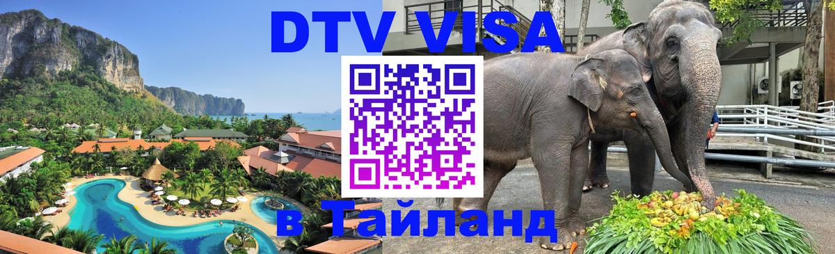 Цены на DTV визу в Таиланд — пакеты услуг, достаточно даже паспорта - Астана  21.11.2025 